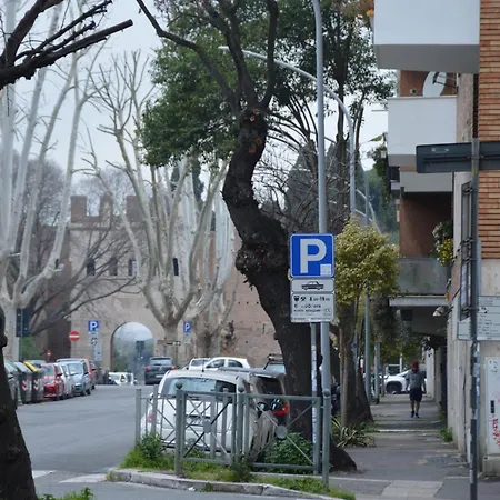 Il Regno Dei Colori Roma
